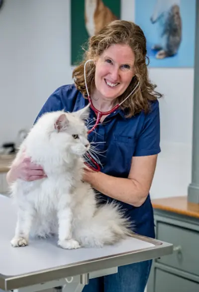 Dierenartsenpraktijk Bommelerwaard🐾🩺 botox Hedel