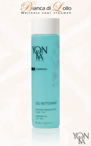 GEL NETTOYANT